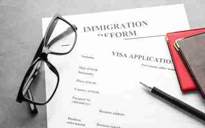 Navigating the Complex Landscape of Immigration Law