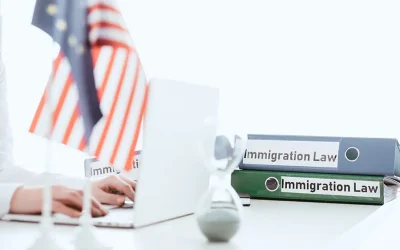 Understanding the Basics of Immigration Law