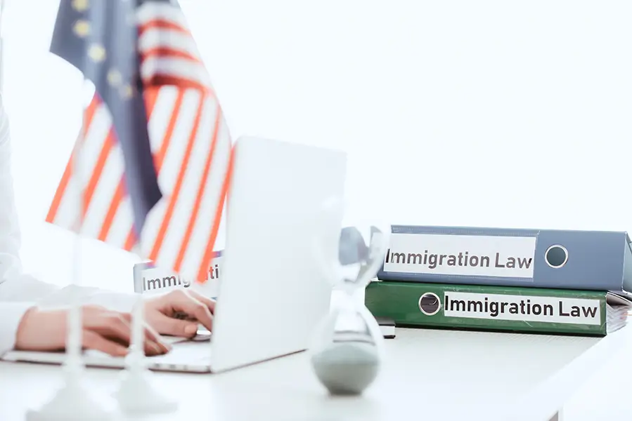 understanding_the_basics_of_immigration_law Understanding the Basics of Immigration Law