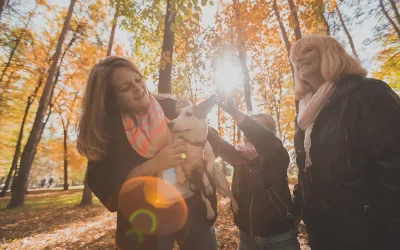 Impact of Domestic Partnerships on Family Law