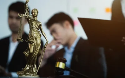 Protecting Your Rights in Domestic Violence Cases
