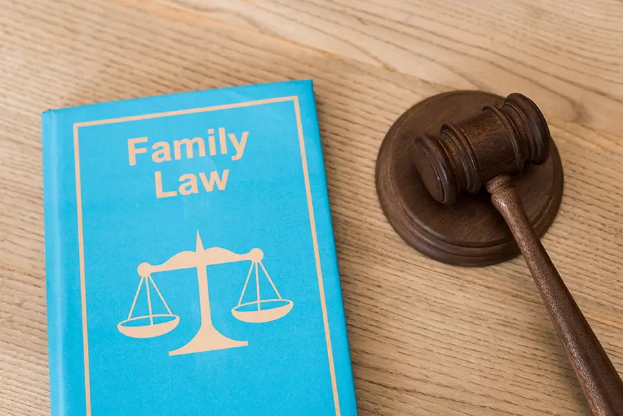 Understanding the Basics of Family Law Understanding the Basics of Family Law