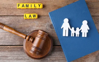 The Role of Social Services in Family Law Cases