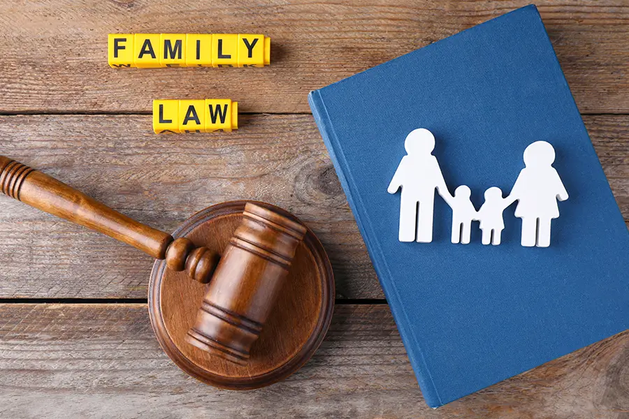 The Role of Social Services in Family Law Cases